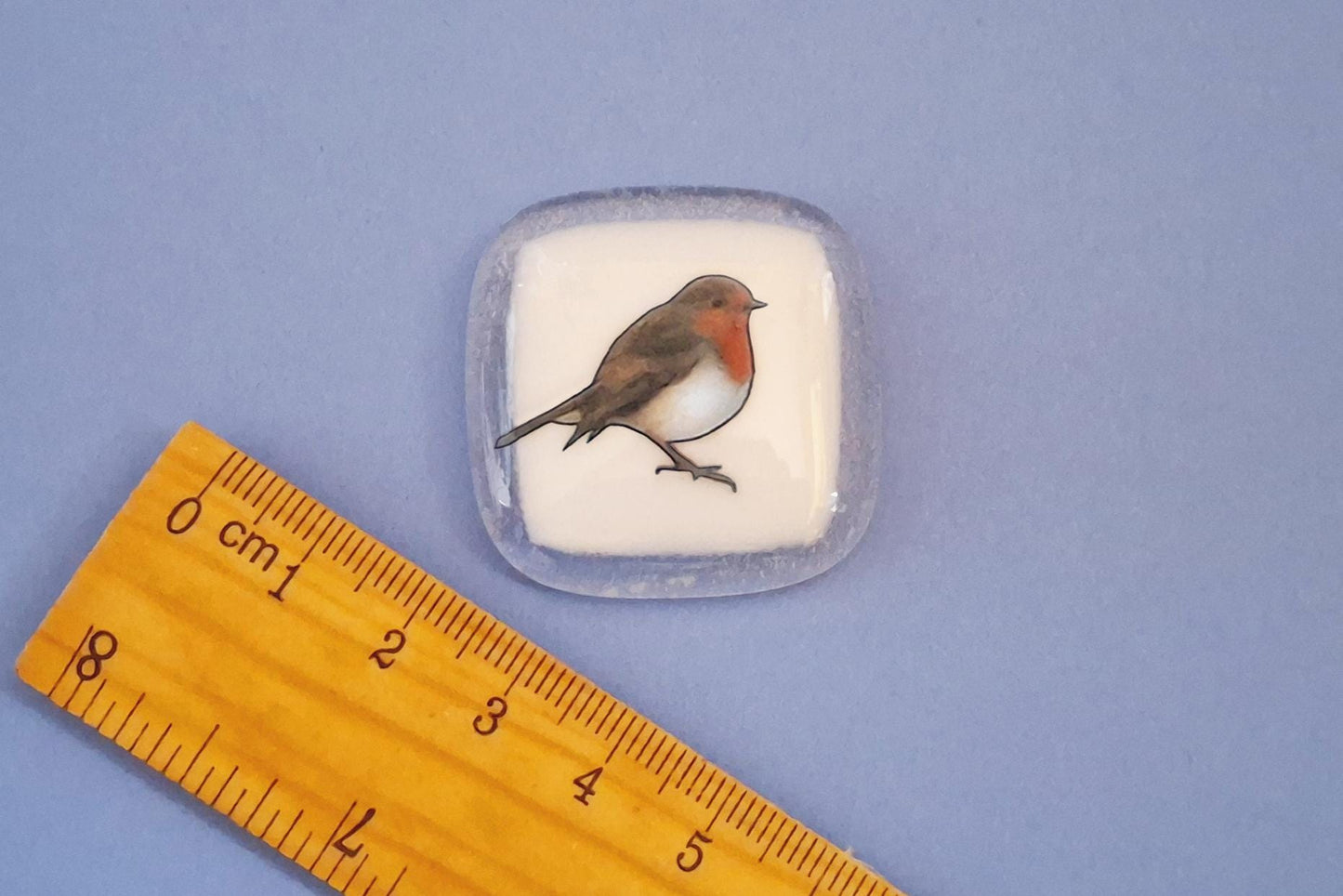 Pocket Robin Fused Glass, friendship gift, Keepsake, gift, remembrance gift, Robins appear when loved ones are near, Robin, bereavement