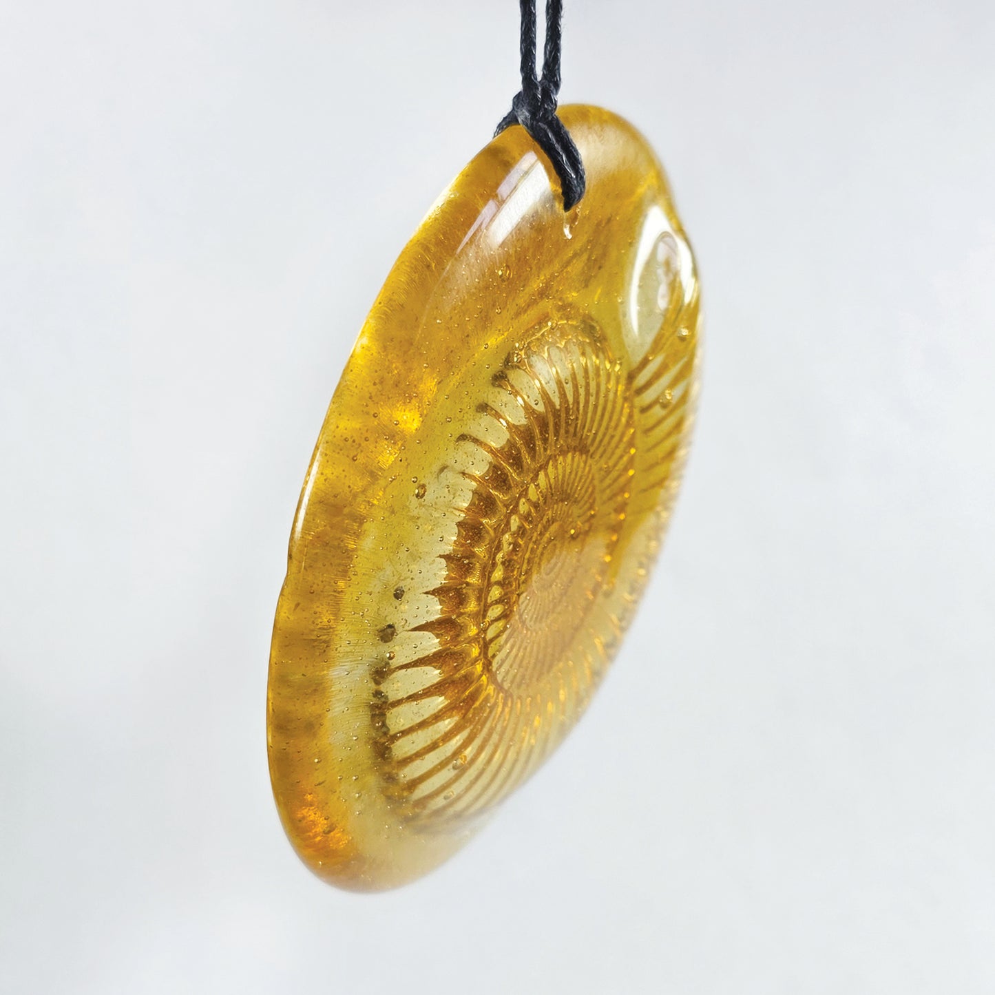 Ammonite Fused Glass, Glass Hanger Amber, Fossil Design. Glass gift, fossil lover, Glass sun catcher, Glass Relief Design